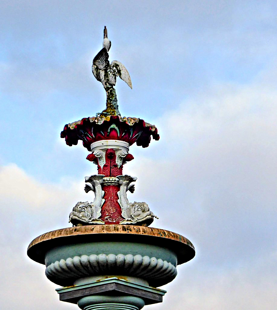 fountain   celia